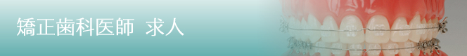 矯正歯科医師 求人
